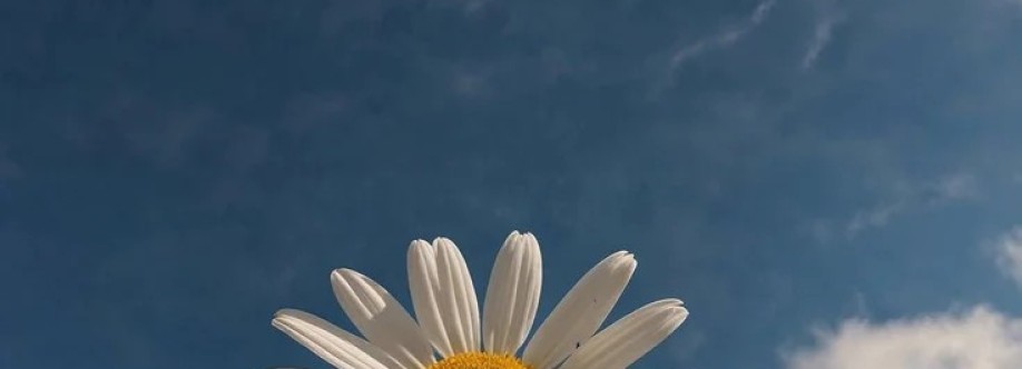Mahendra091 Cover Image